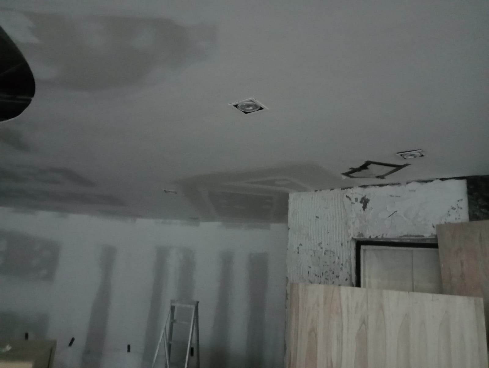 Ceiling & Partitions Work